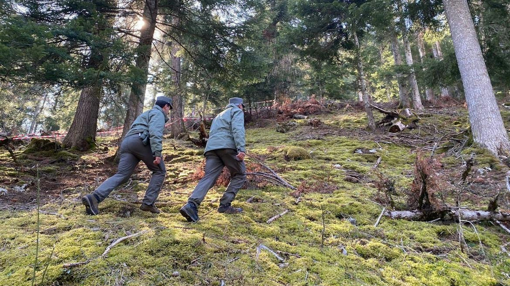 Einsatzkräfte in Caldes in der italienischen Region Trentino-Südtirol nach dem gewaltsamen Tod eines Joggers im Wald.