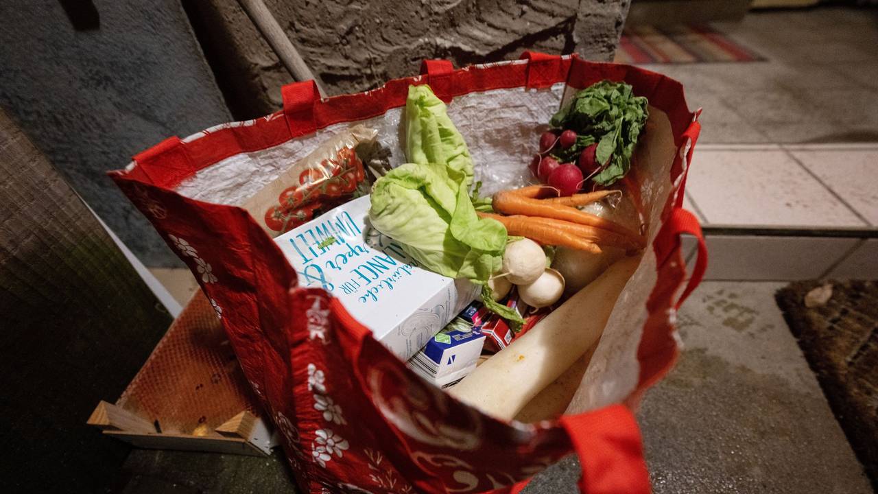 Das undatierte Symbolfoto zeigt eine Kunststofftasche mit noch genießbaren Lebensmitteln, die aus Mülleimern gerettet wurden.