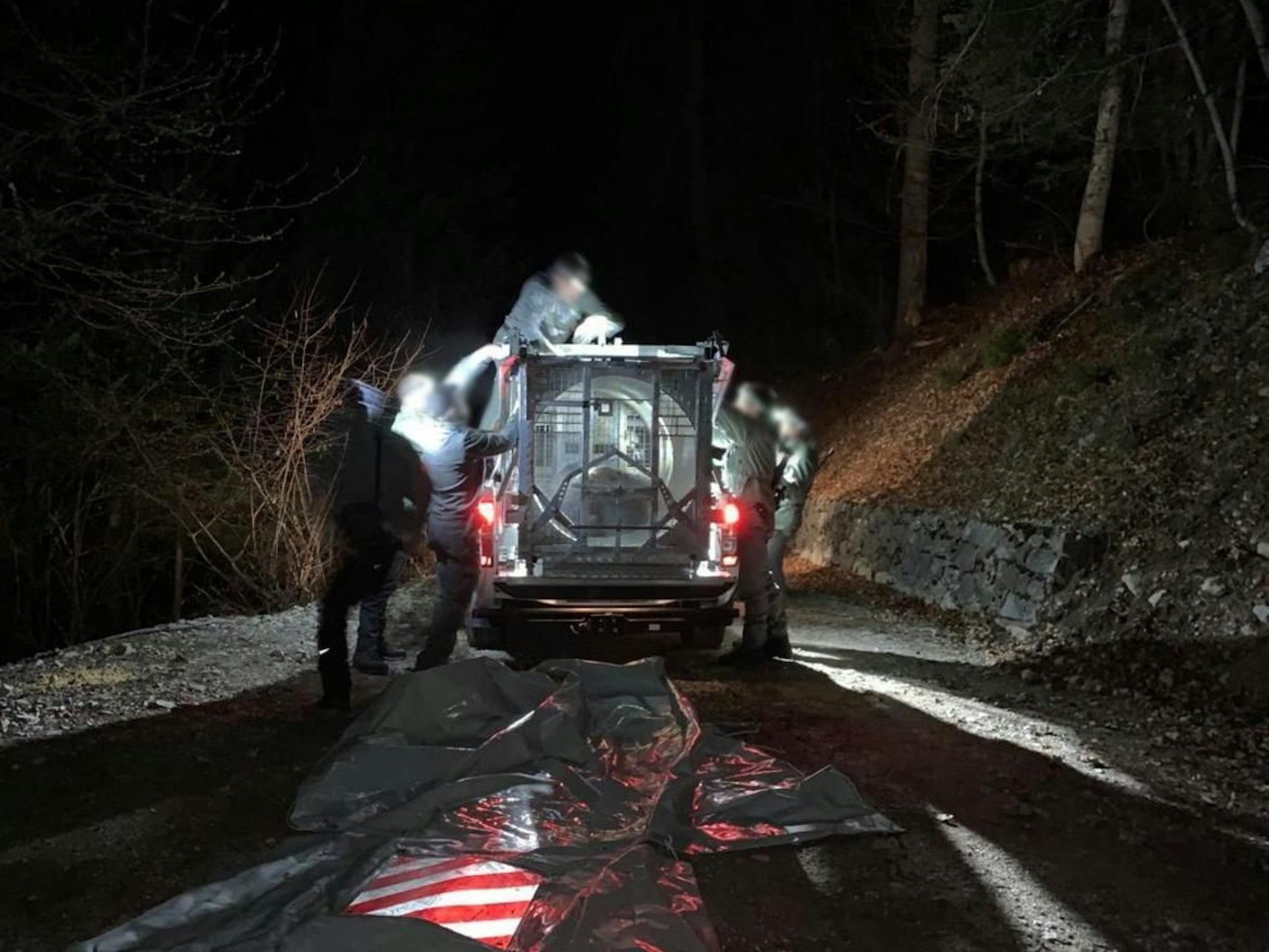 Mitarbeitende des Trentiner Forstkorps bereiten den Transport der Bärin JJ4 in ein Wildreservat vor, hier im April 2023.