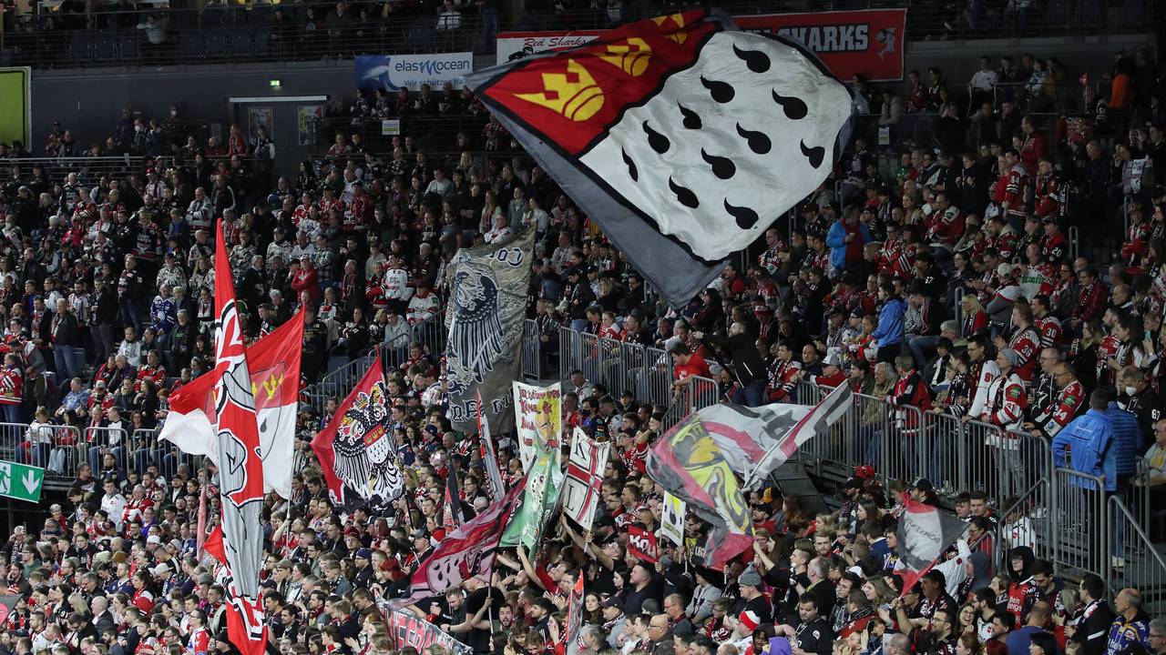 Die Fans der Kölner Haie feuern ihr Team bei einem Playoff-Spiel der DEL an.