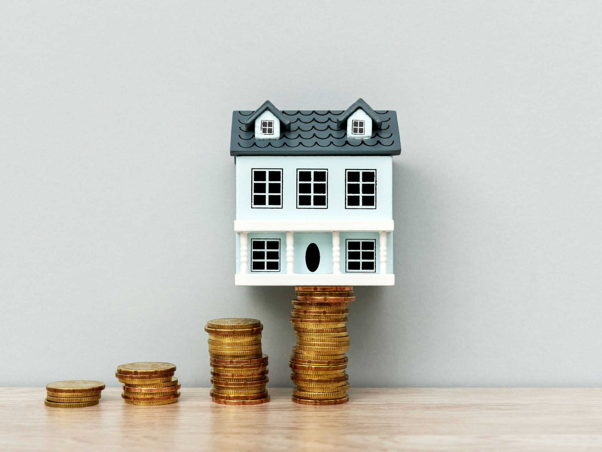 Ein Hau steht auf einem Stapel Münzen.