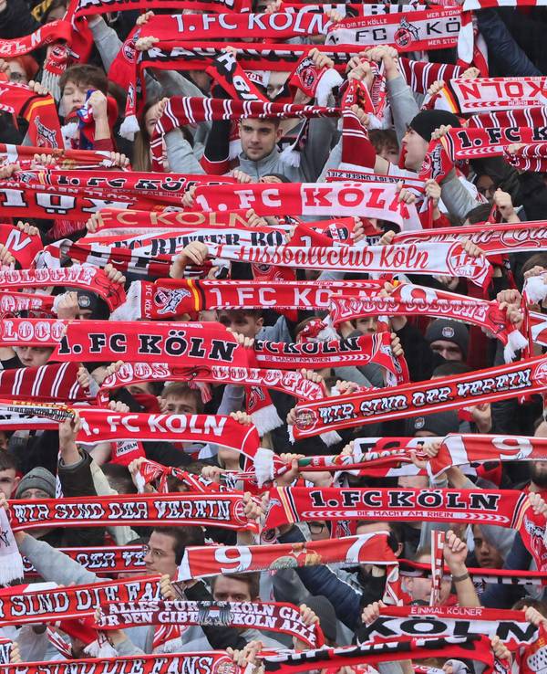 Fans des 1. FC Köln halten Schals hoch.
