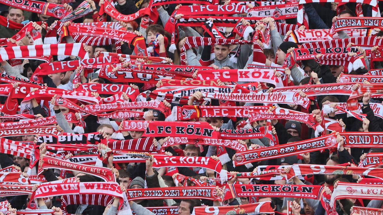 Fans des 1. FC Köln halten Schals hoch.