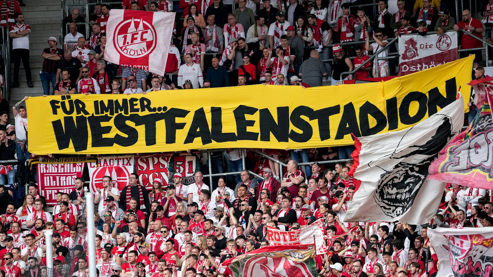 Die Ultras vom 1. FC Köln solidarisieren sich mit den Fans von Borussia Dortmund im Streit um den Stadionnamen vom Signal-Iduna-Park.