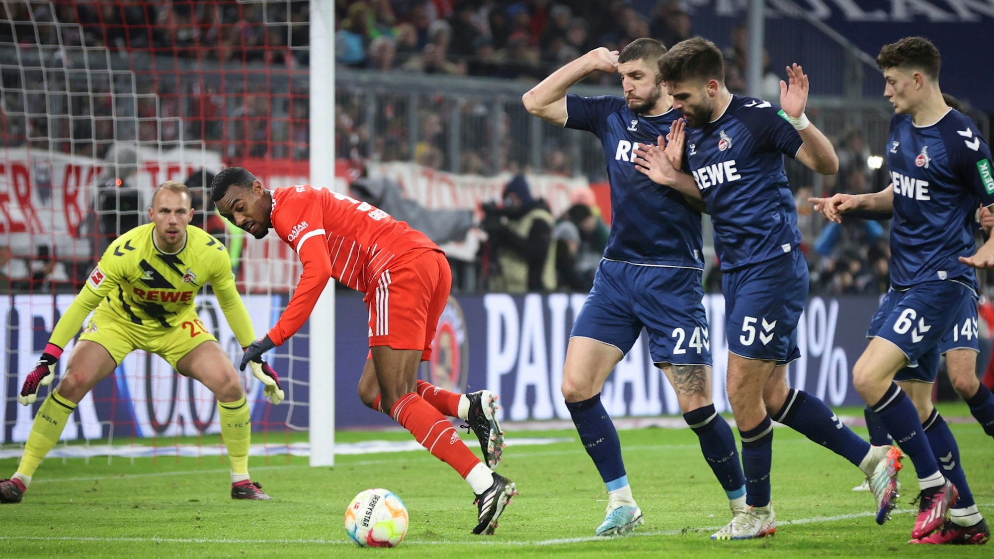 Bayerns Ryan Gravenberch im Duell mit Kölns Julian Chabot, Nikola Soldo und Eric Martel.