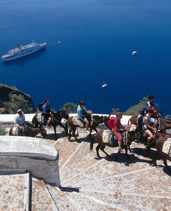 Hier zu sehen, eine Gruppe Touristen auf mehreren Eseln erklimmen einen Berg auf der Insel Santorin in Griechenland.