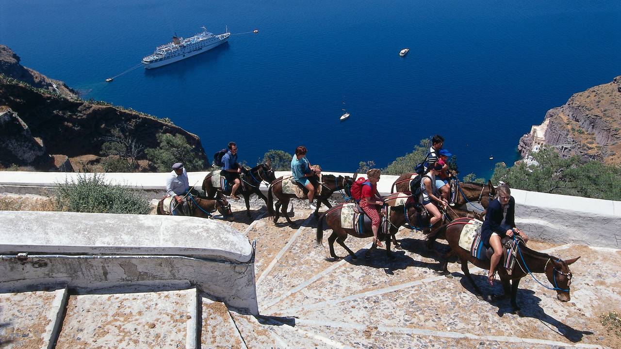 Hier zu sehen, eine Gruppe Touristen auf mehreren Eseln erklimmen einen Berg auf der Insel Santorin in Griechenland.