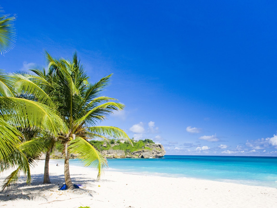 Ein Strand mit grünen Palmen und hellblauem Meer auf Barbados.