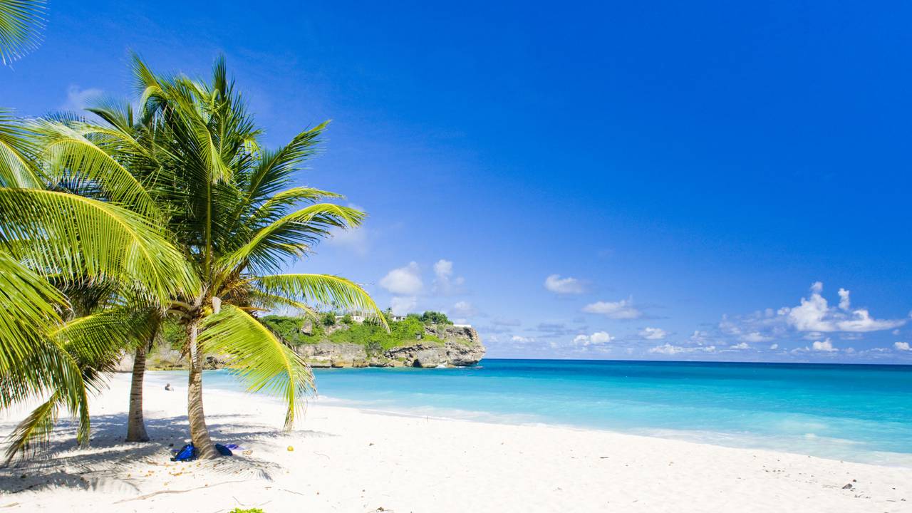 Ein Strand mit grünen Palmen und hellblauem Meer auf Barbados.