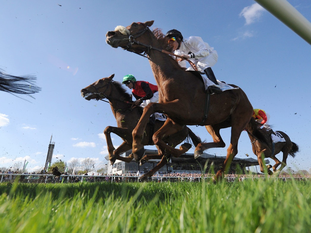 Rennpferde laufen in einem Wettkampf.