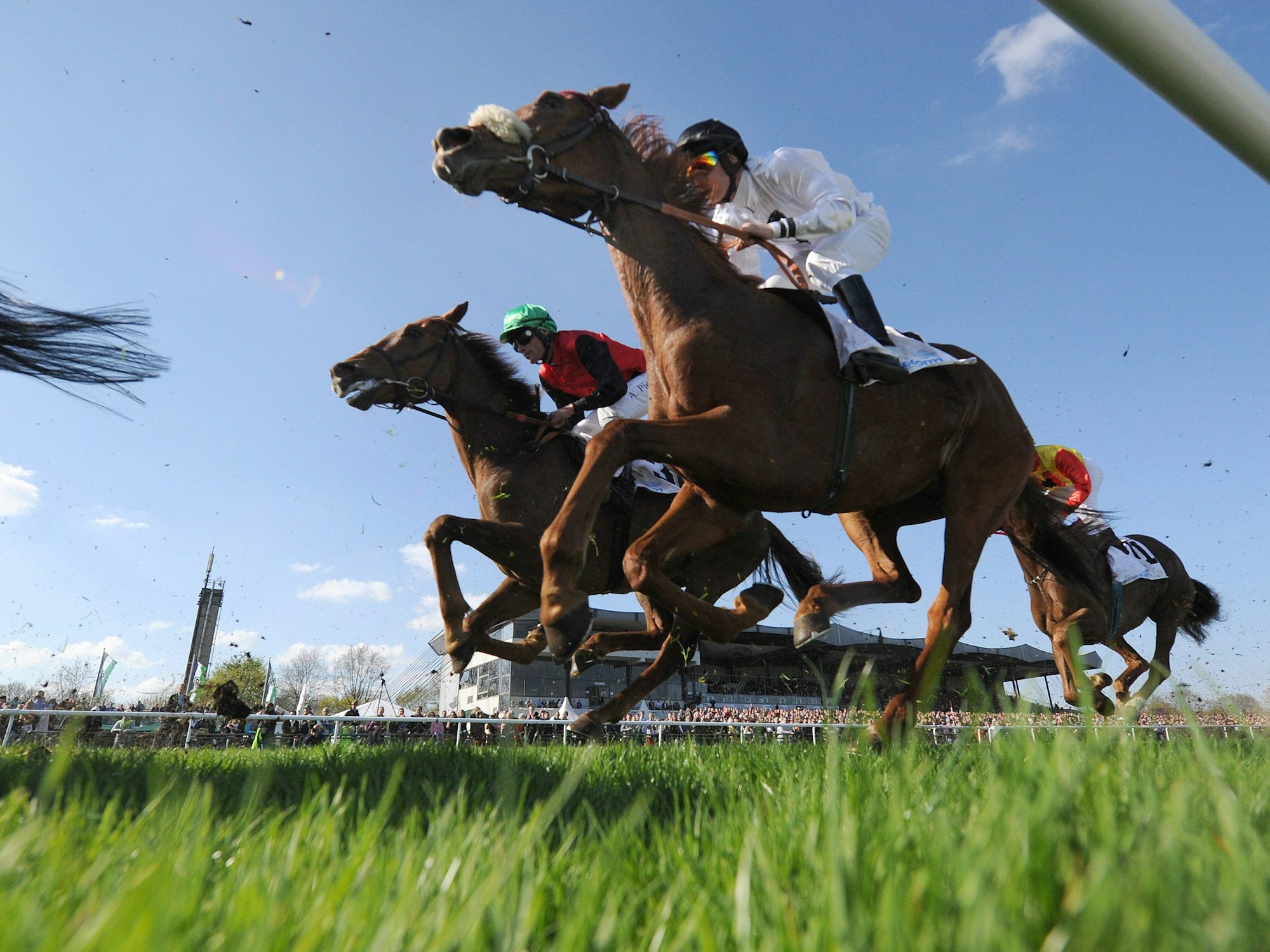 Rennpferde laufen in einem Wettkampf.