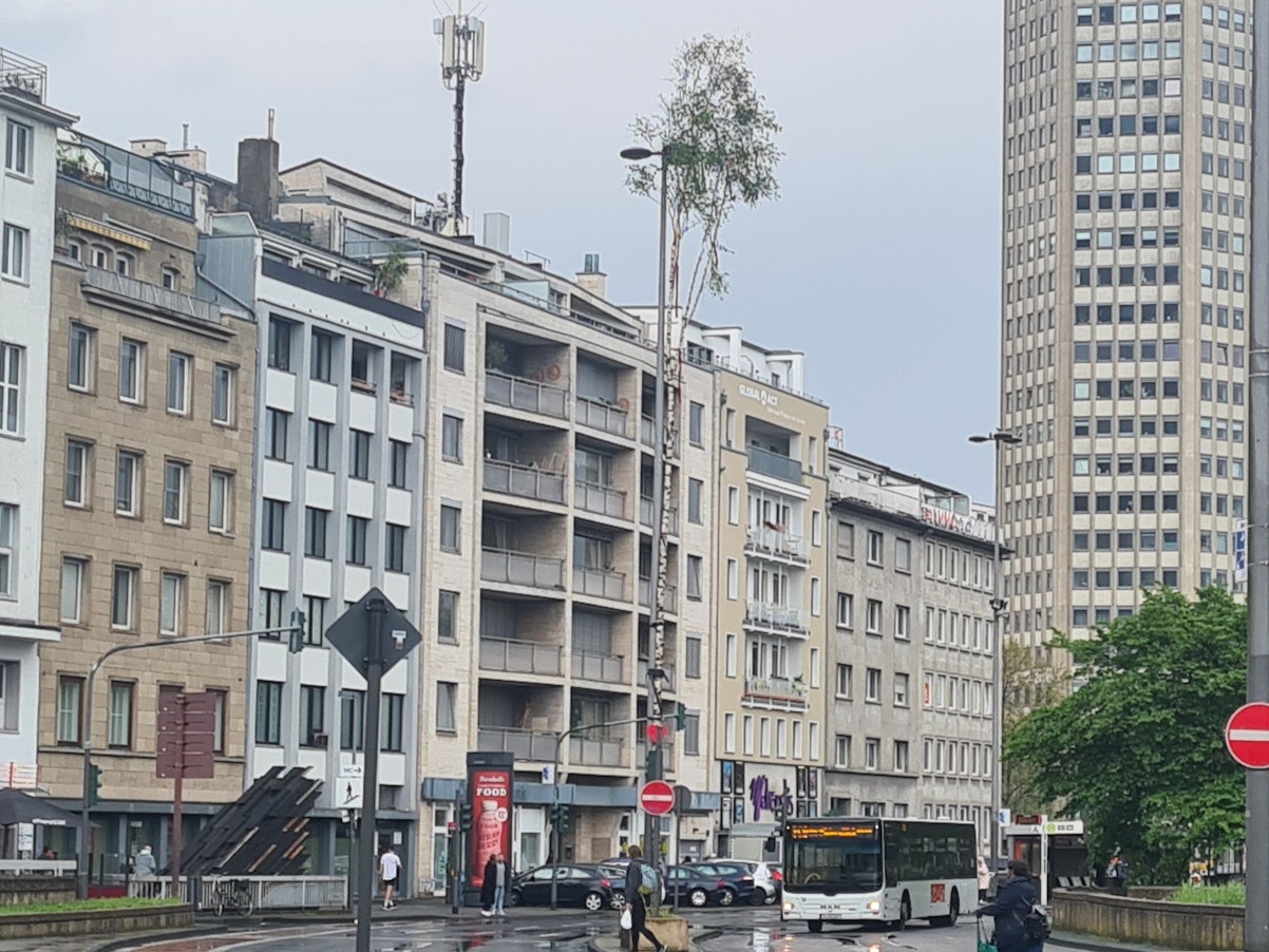 Der Riesenmaibaum am Ebertplatz in Köln. Am 2. Mai 2023 wurde er wieder abgebaut.
