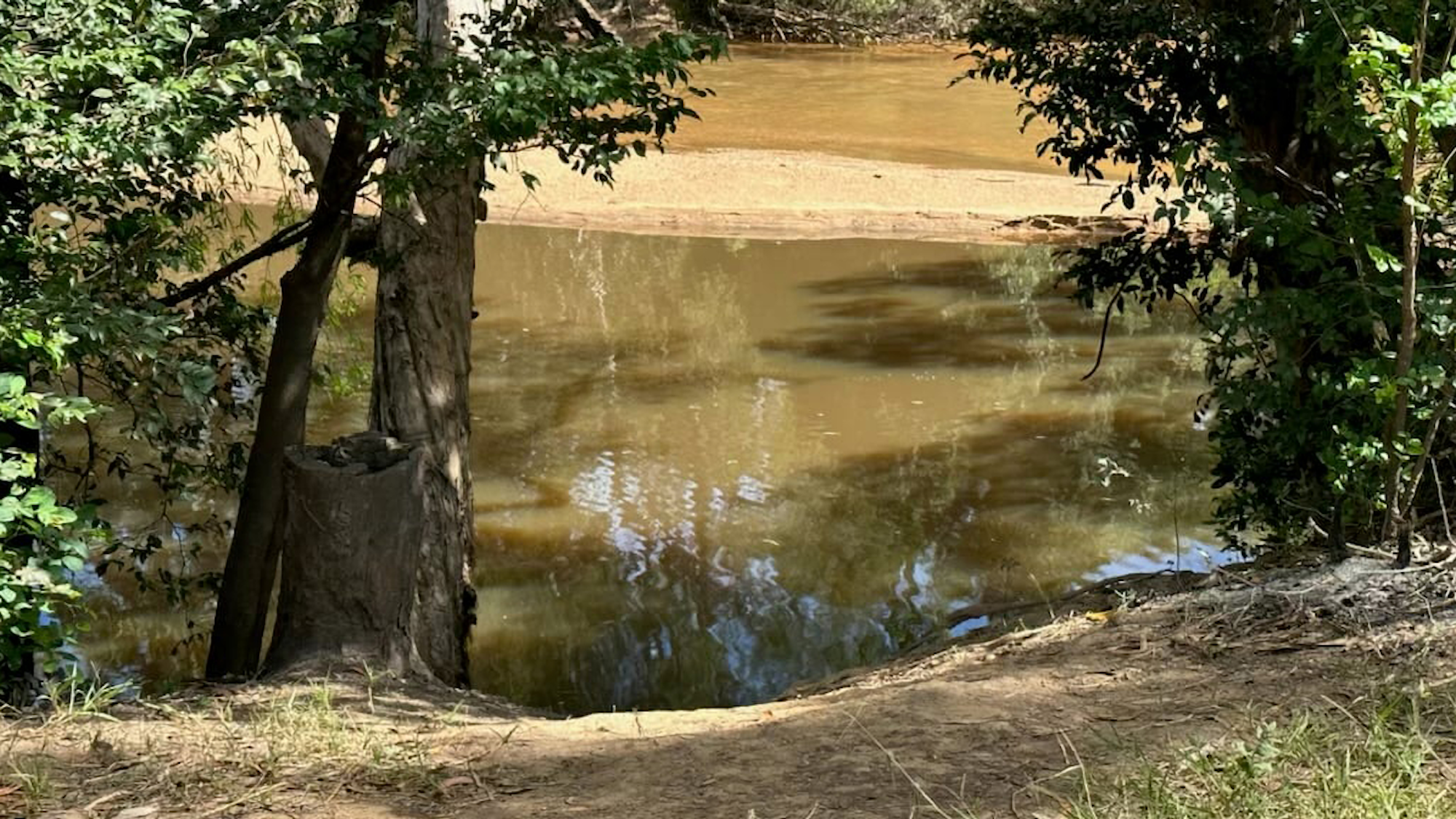 Der Kennedy River im Rinyirru (Lakefield) National Park.