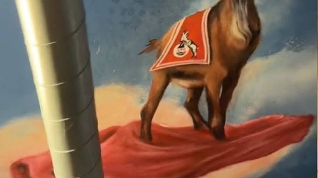 Dieses Gemälde von FC-Geißbock Hennes schmückt die Decke des Münchener Clubs „Tonhalle“.