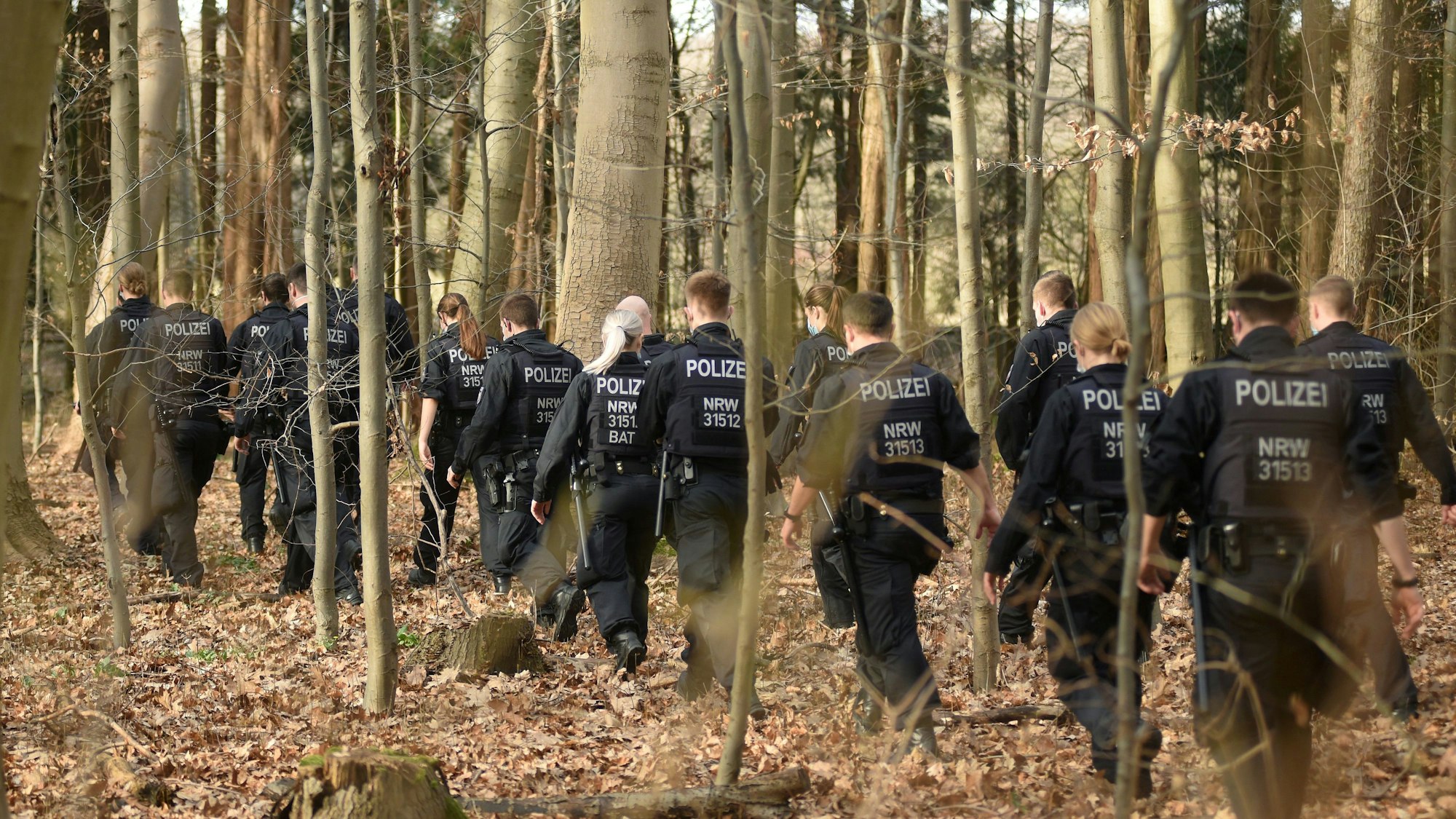 Zahlreiche Polizistinnen und Polizisten durchsuchen einen Wald.
