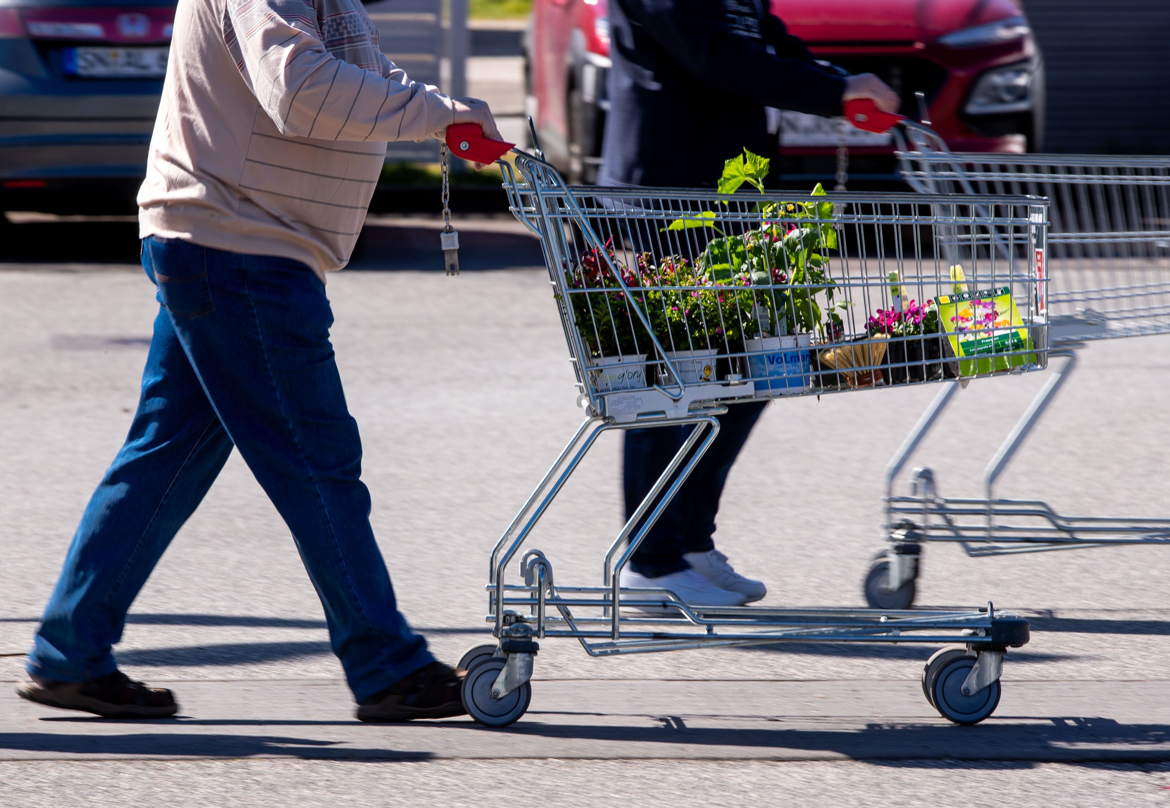 Eine Kunde verlässt mit vollem Einkaufswagen einen Bau- und Gartenmarkt.