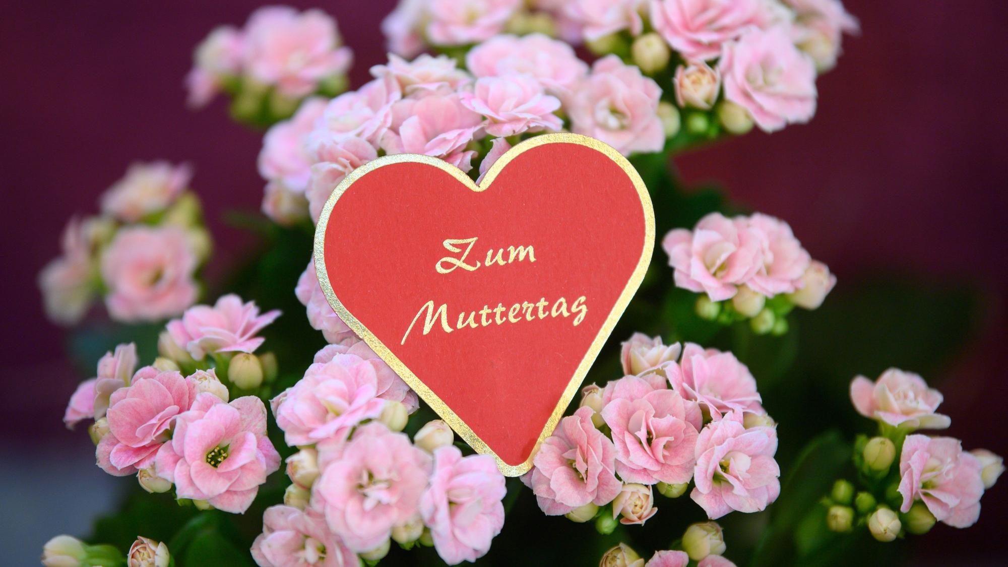 Ein Herz mit der Aufschrift „Zum Muttertag“ steckt in einem Blumengeschäft in einem Topf mit der Pflanze.