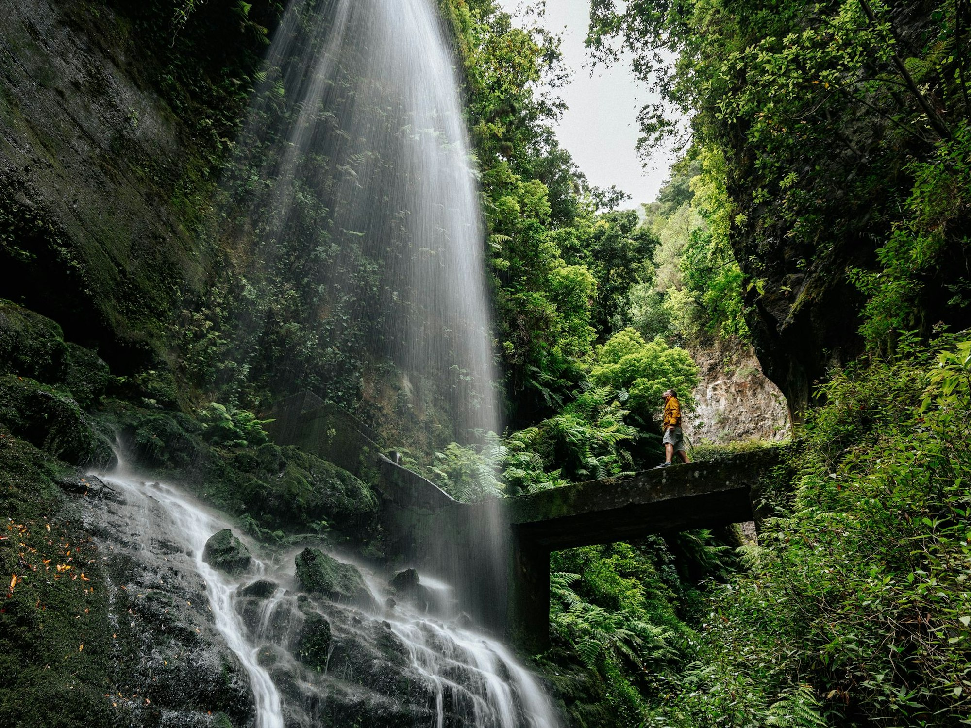 Zona Recreativa de los Bosques de los Tilos auf La Palma.
