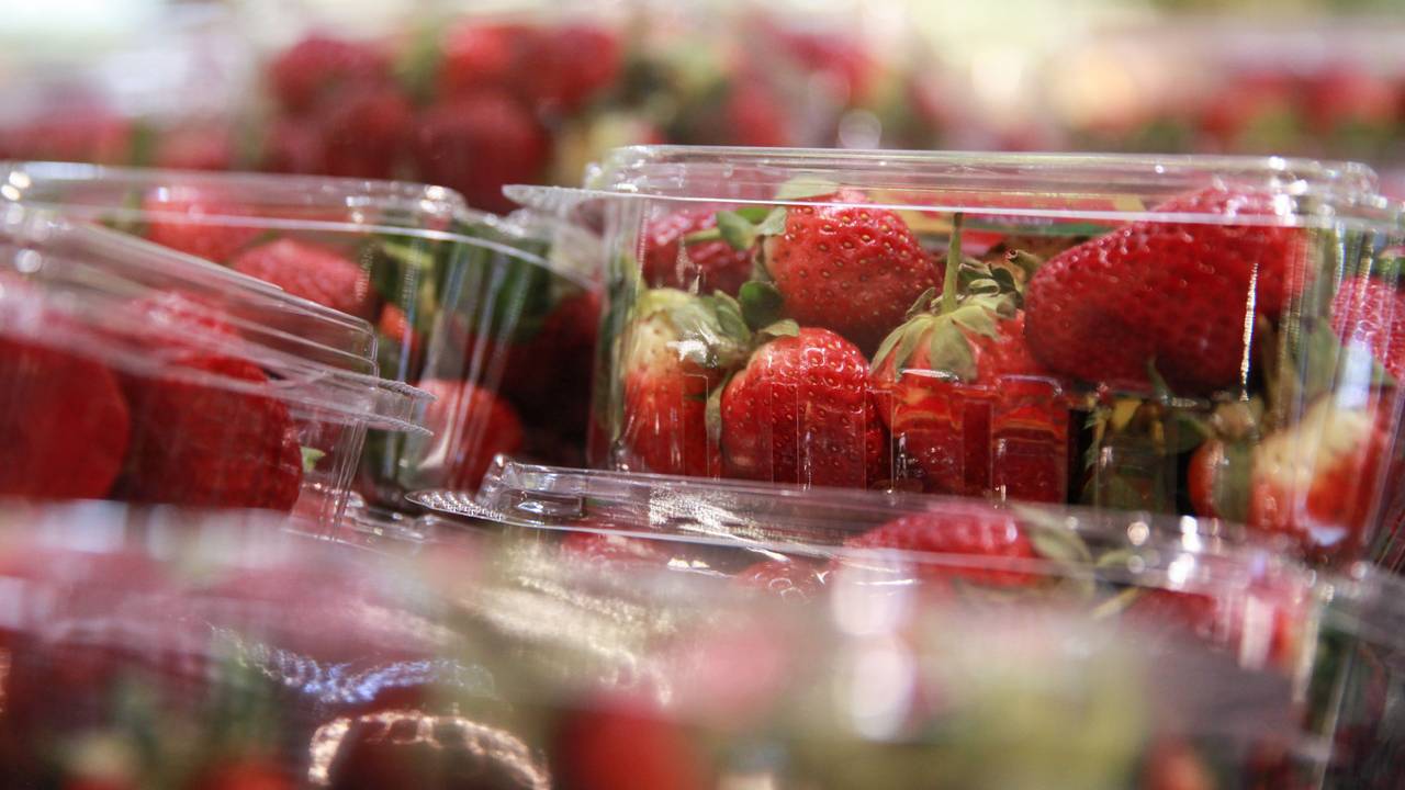 Erdbeeren stehen in einem Supermarkt zum Verkauf, hier in Sydney (Australien) im September 2018.