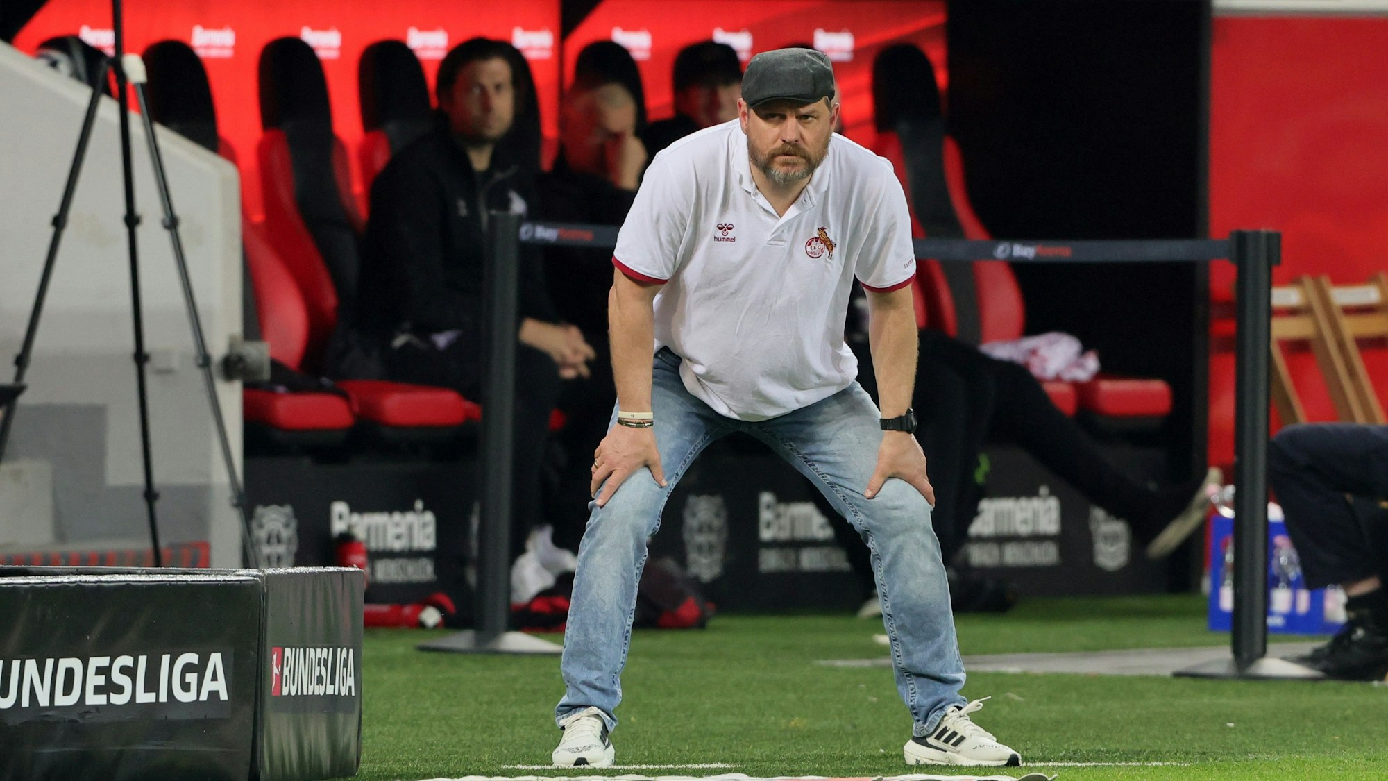 Steffen Baumgart steht beim 1. FC Köln an der Seitenlinie.