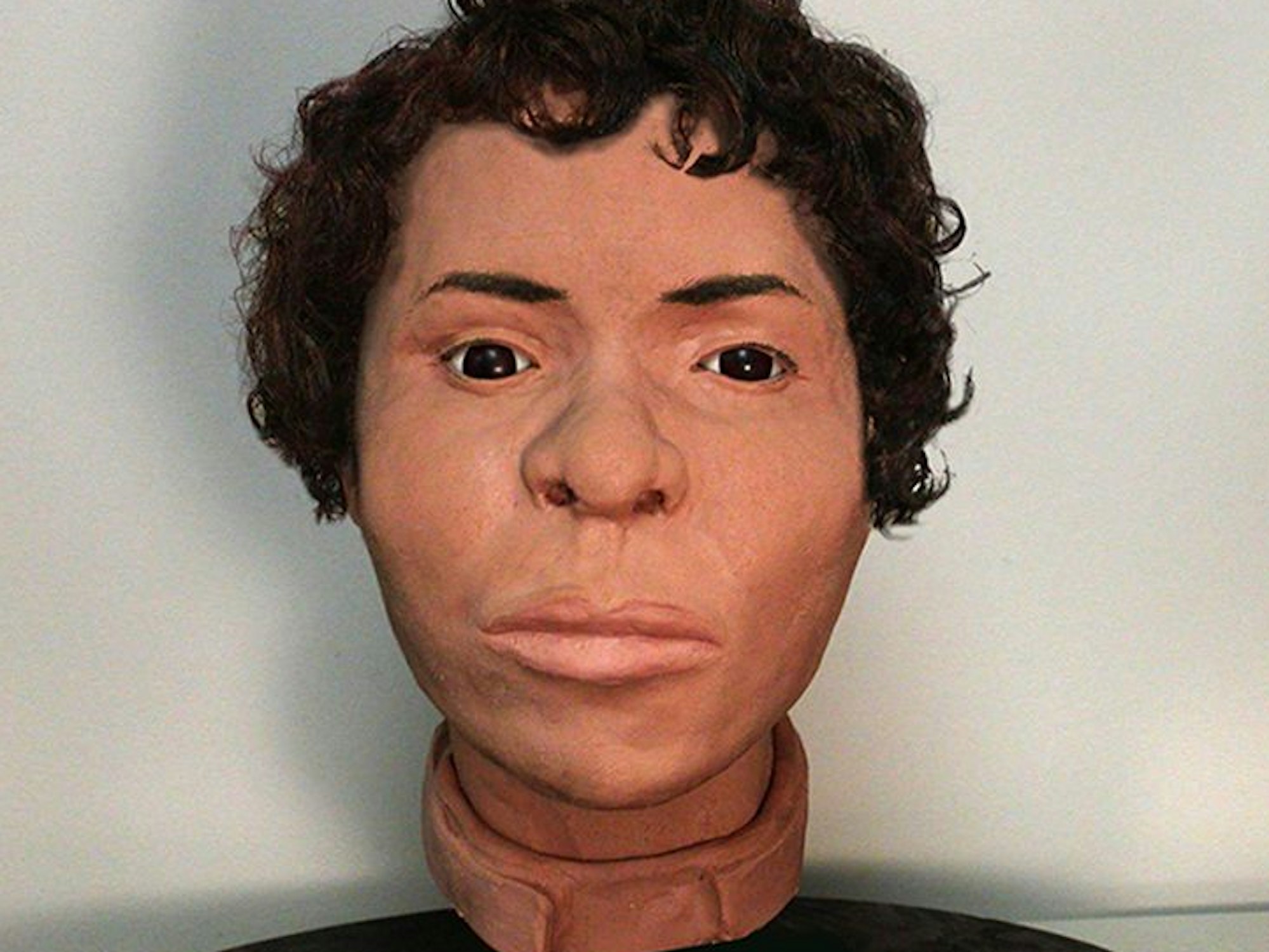 Gesichtsrekonstruktion einer unbekannten Toten: dunkle Haare, dunkle Augen, volle Lippen.