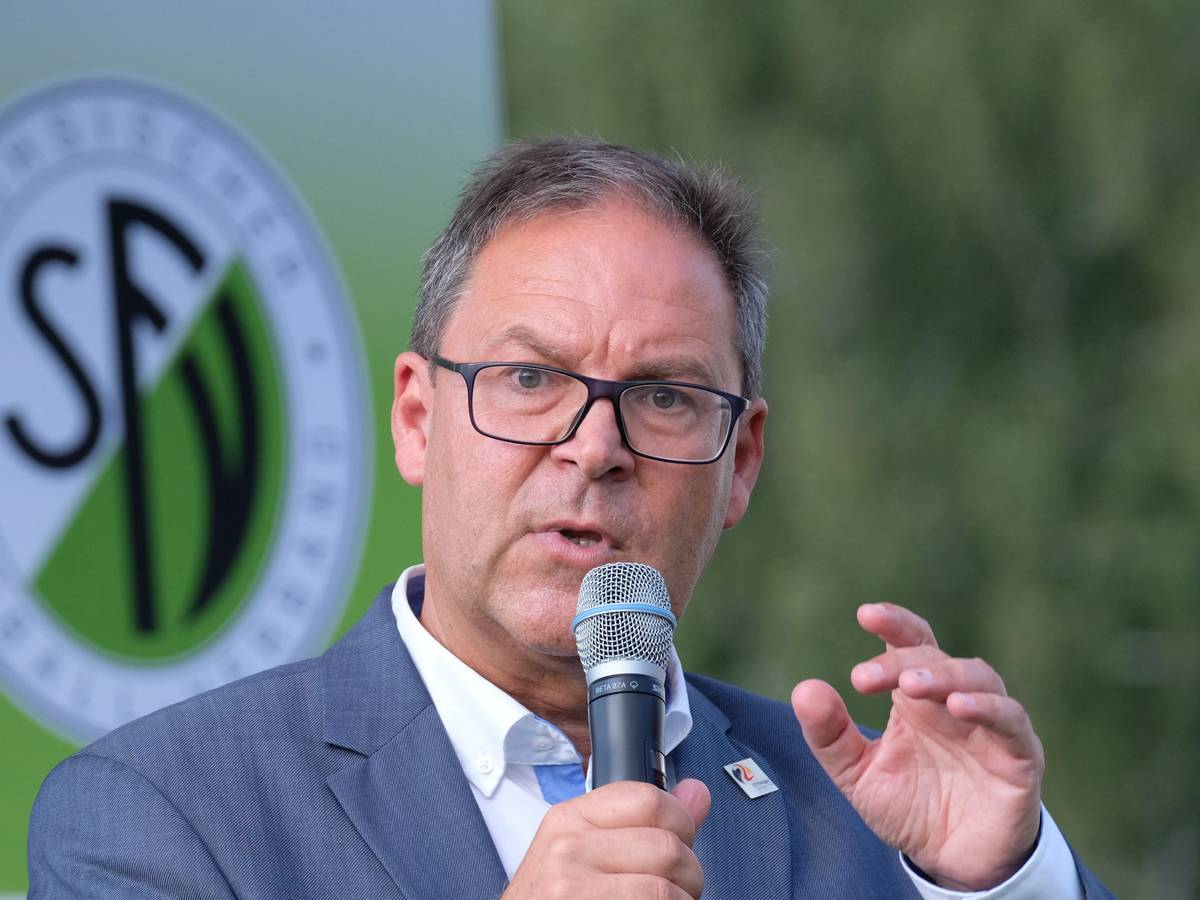 DFB-Vizepräsident Hermann Winkler spricht in ein Mikrofon.