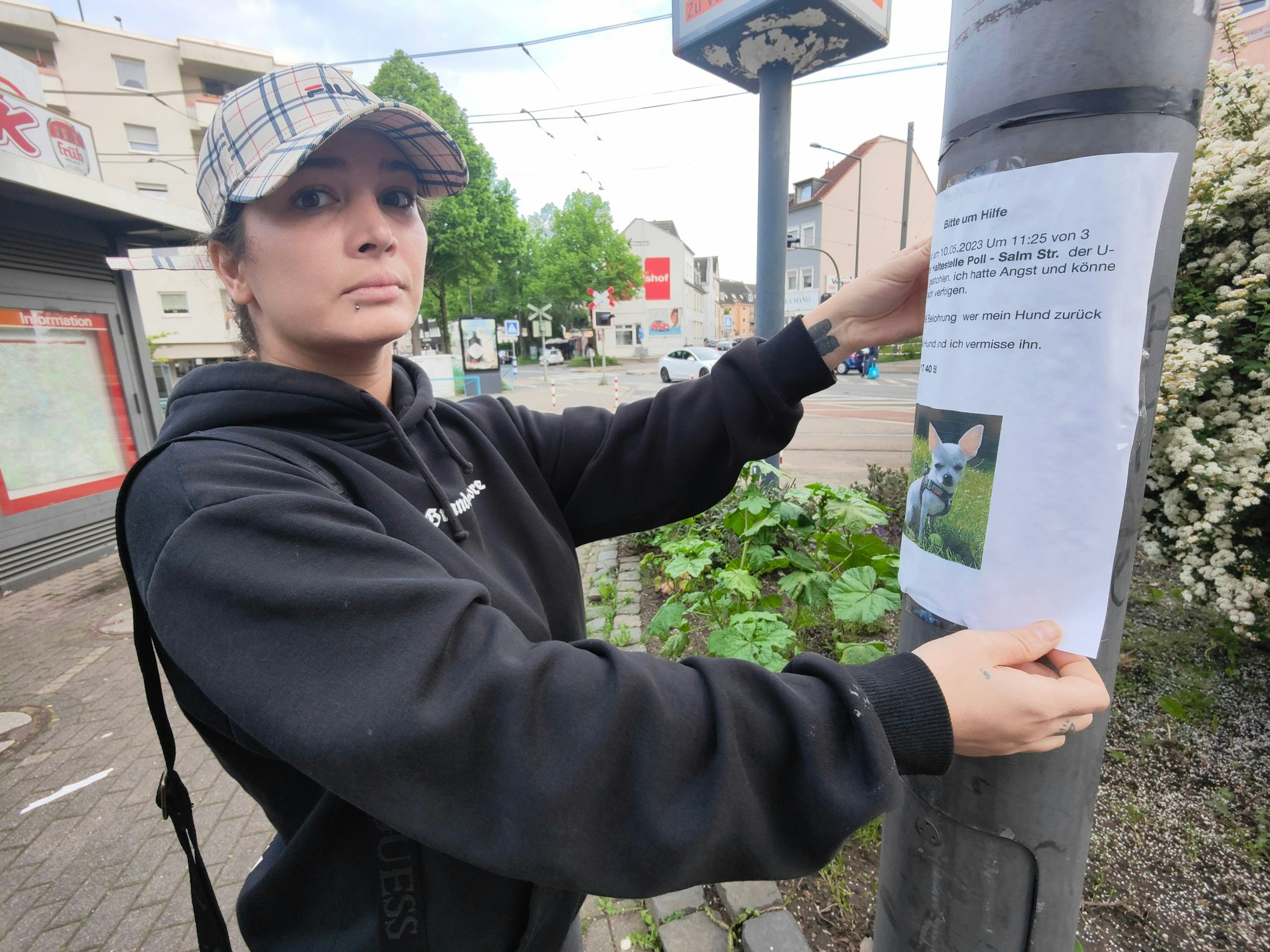 Atiye T. klebt in Poll Suchplakate – inzwischen ist ihr kleiner Chihuahua wieder aufgetaucht.
