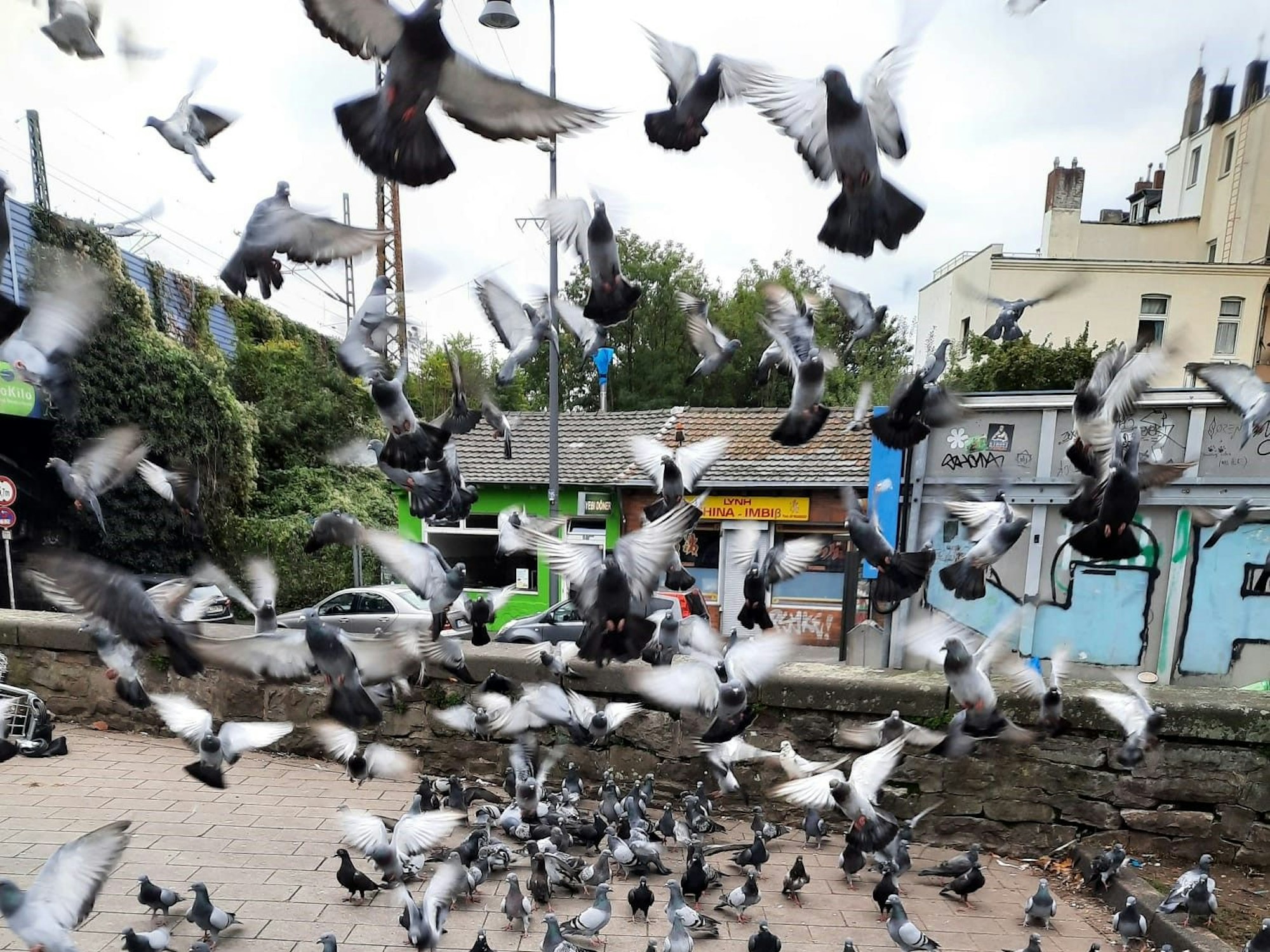 Tauben fliegen hoch, andere bevölkern einen Platz.