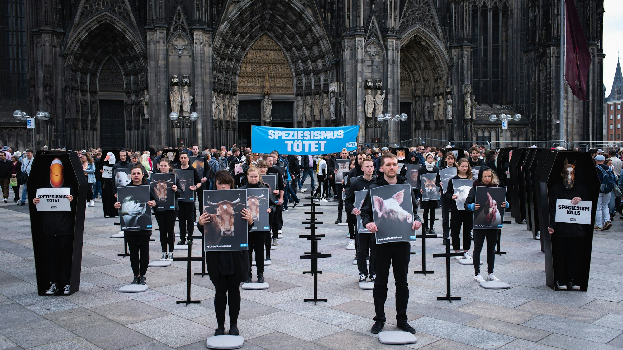 Bei einer Protestaktion der Tierschutzorganisation PETA zogen die 60 Teilnehmenden am Samstagmittag am Kölner Dom alle Blicke auf sich.