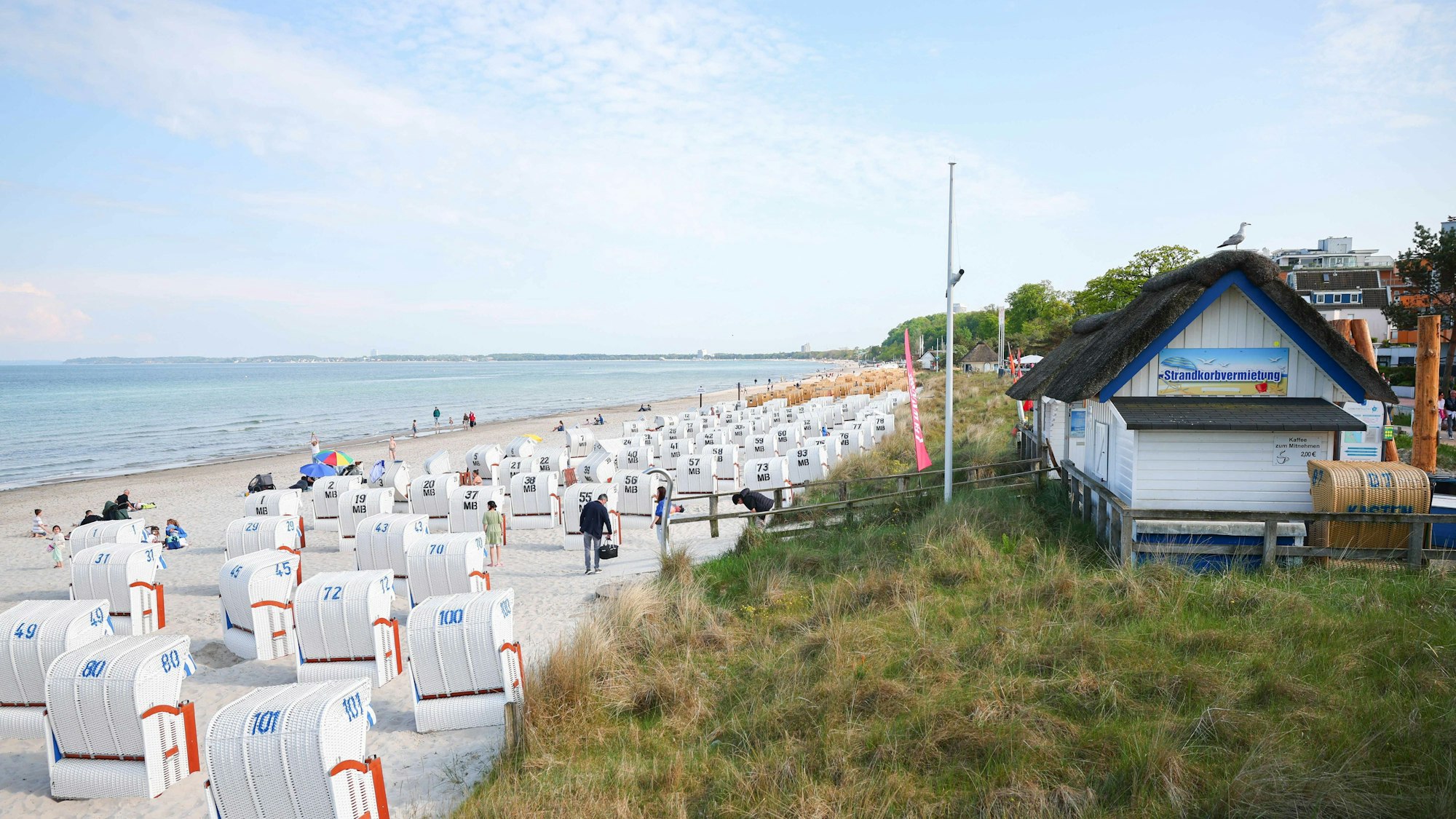 Eine Strandkorbvermietung mit zahlreichen Strandkörben am Ostseestrand bei Scharbeutz.