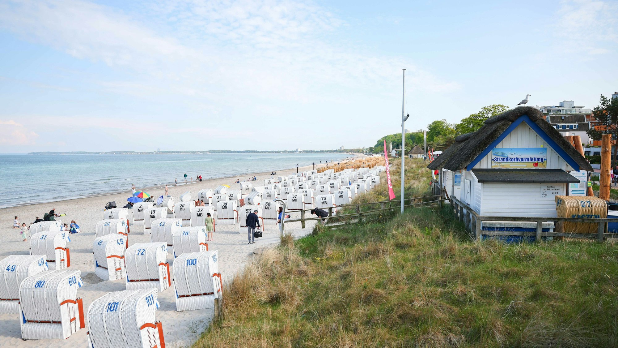 Eine Strandkorbvermietung mit zahlreichen Strandkörben am Ostseestrand bei Scharbeutz.