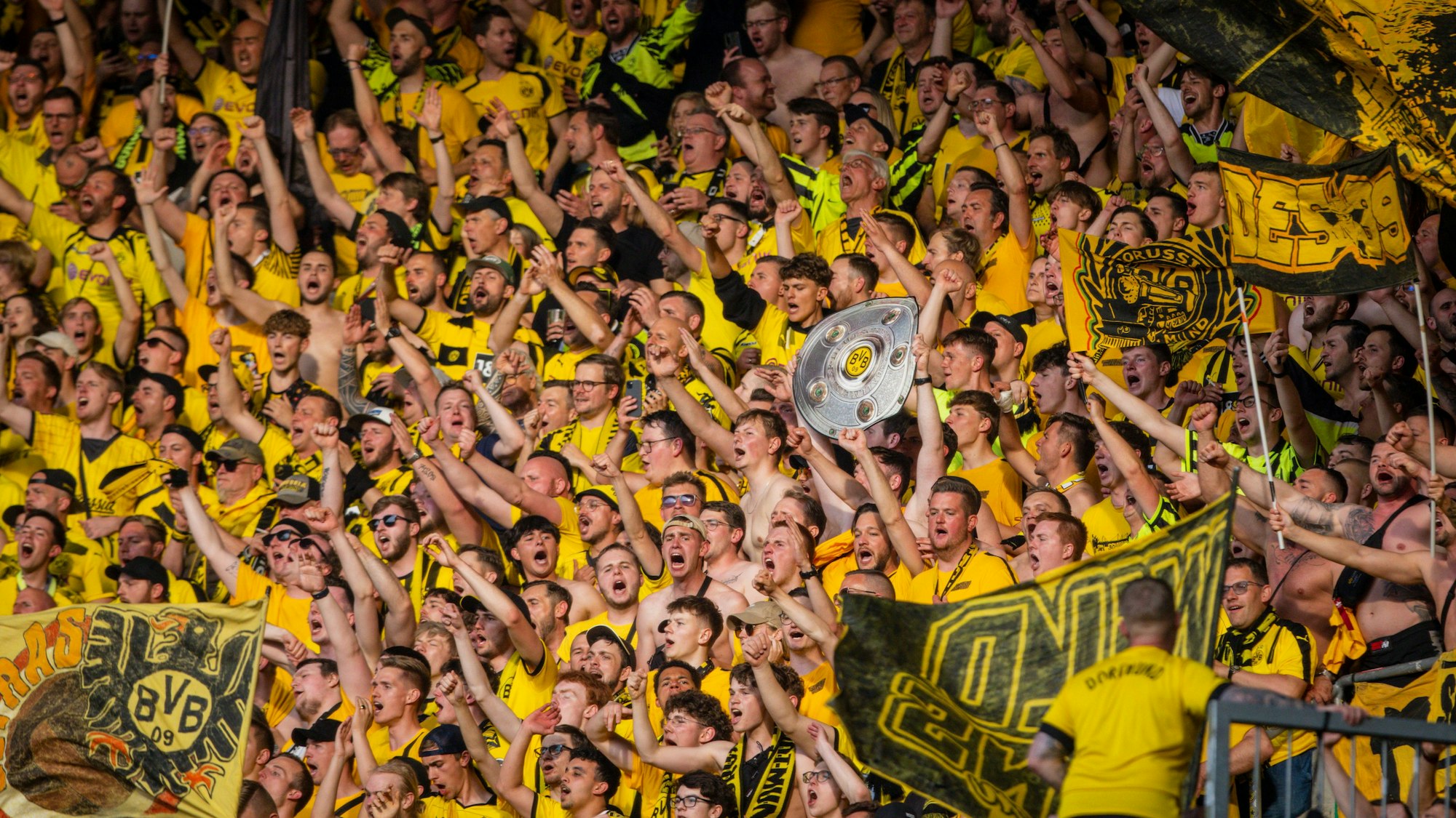 Die Fans von Borussia Dortmund jubeln beim Spiel gegen den FC Augsburg.