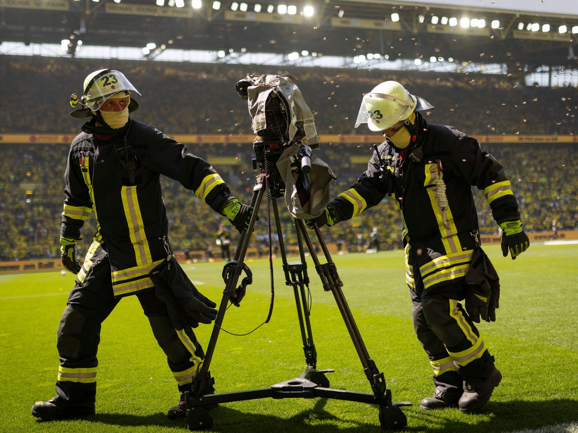 Zwei Feuerwehrmänner tragen eine Kamera des TV-Senders Sky aus dem Stadion, auf dem sich ein Bienenvolk niedergelassen hat.