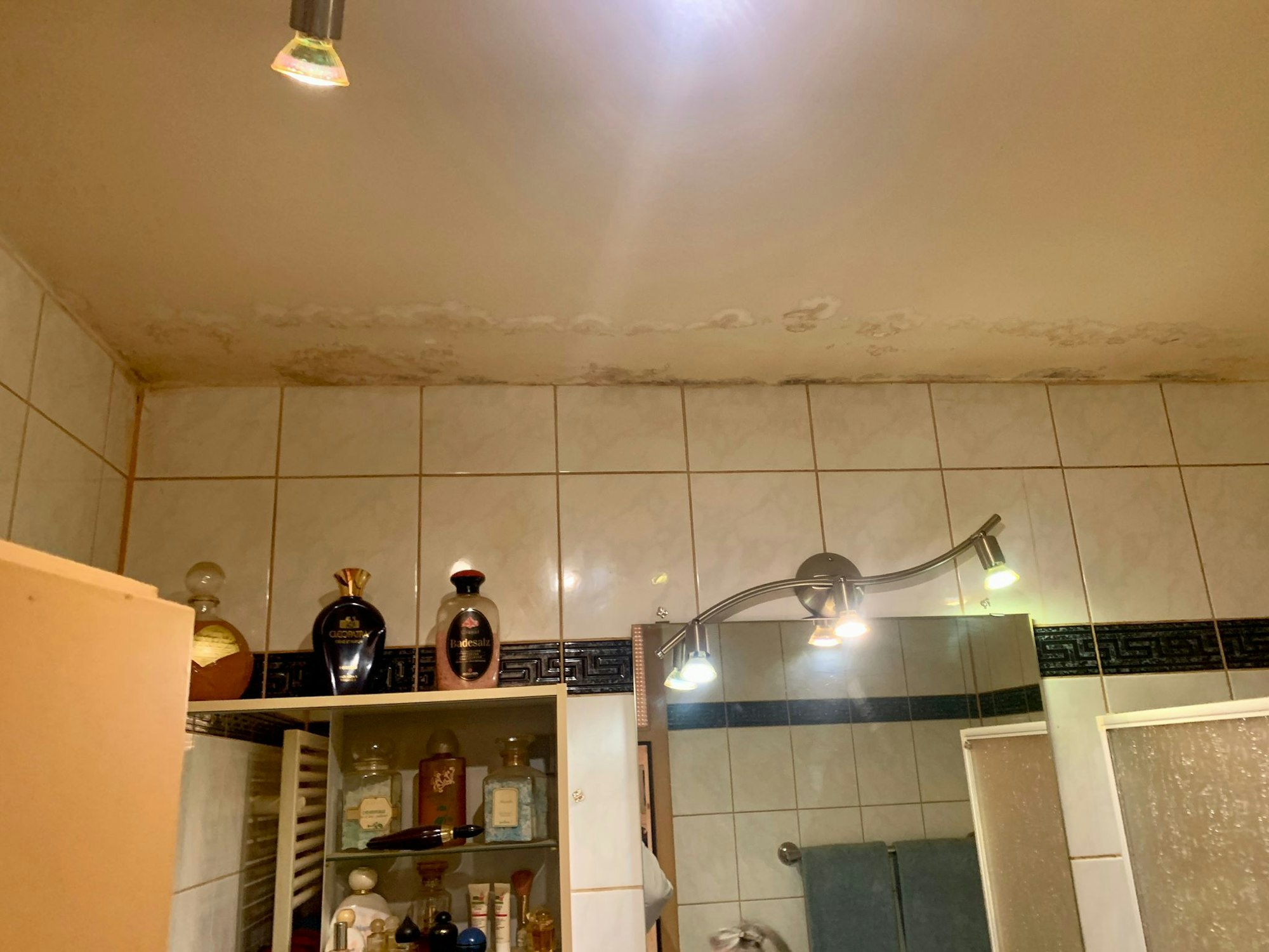 Der Wasserschaden des Ehepaares Philipp ist im Badezimmer an der Decke zu sehen.