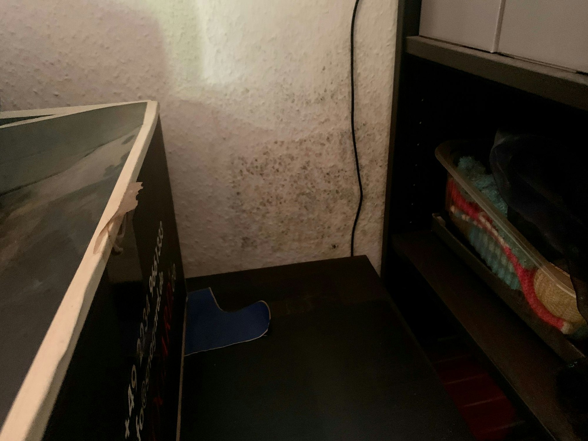 Schimmel an der Wand im Schlafzimmer der Kölner Josef und Waldraut Philipp.