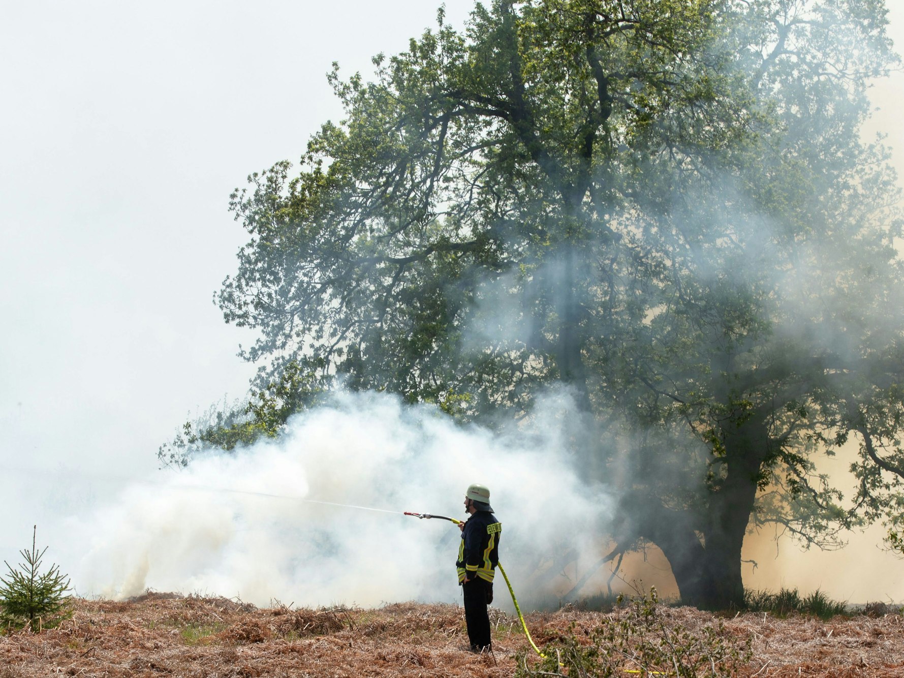 Die Feuerwehr versucht einen Moorbrand im deutsch-belgischen Grenzgebiet bei Aachen zu löschen. Das Feuer sei auf belgischer Seite im Hohen Venn ausgebrochen, teilte am Dienstag die Städteregion Aachen mit.