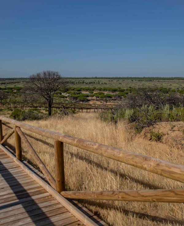 Blick auf den Naturpark von Doñana.