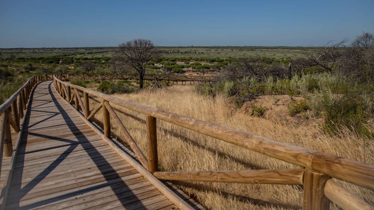 Blick auf den Naturpark von Doñana.
