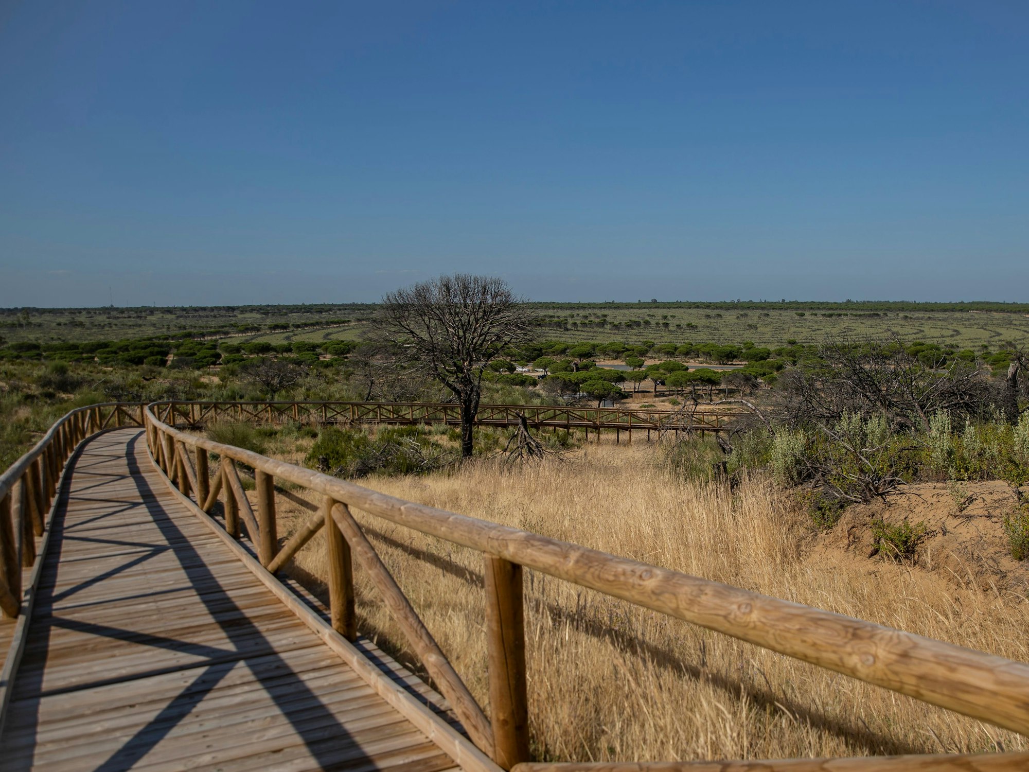 Blick auf den Naturpark von Doñana.
