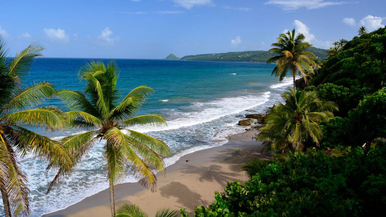 Grabd Anse Beach auf der karibischen Insel Grenada.