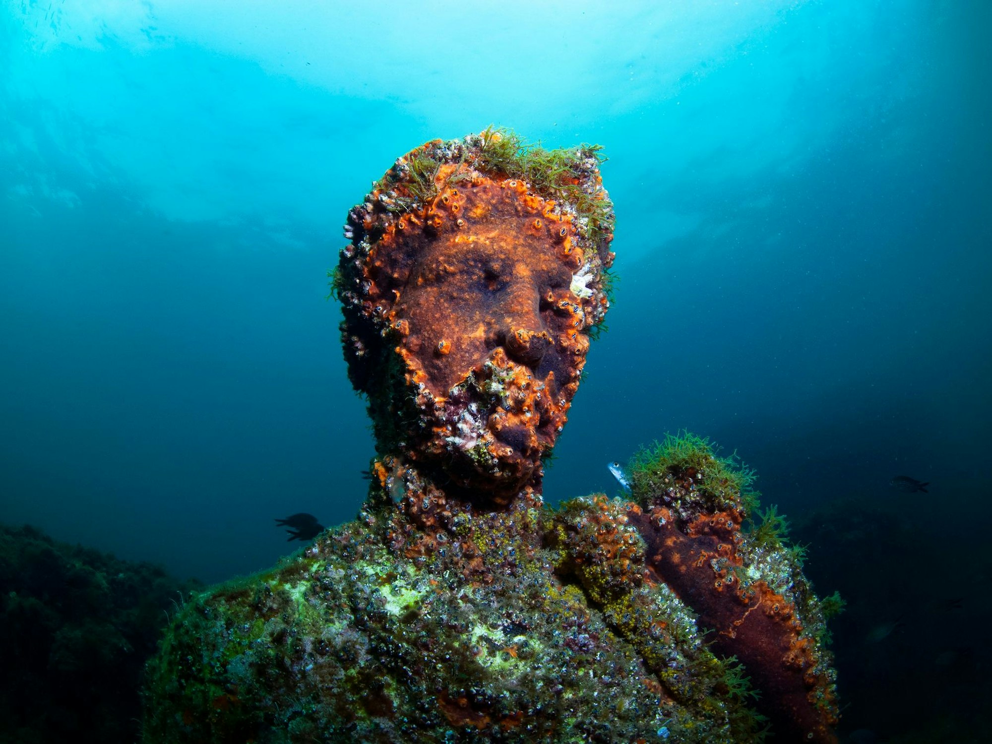 Eine versunkene Statue der Stadt Baiae in Italien.