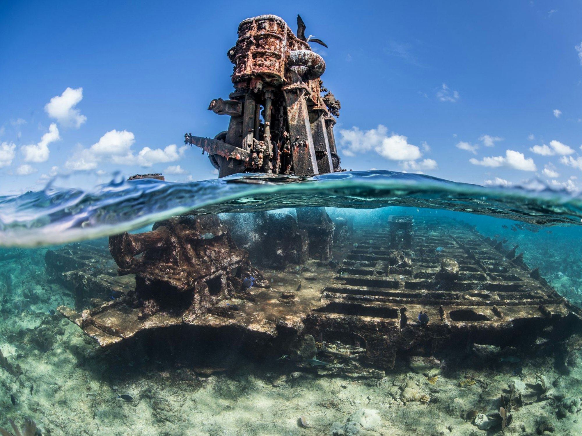 Schiffsrwrack in Alacranes, Campeche, Mexico.