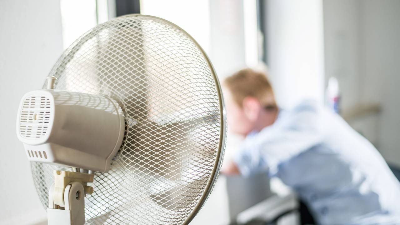 Ein Ventilator steht in einem Büro, davor sitzt ein Mann mit hellblauem Hemd.