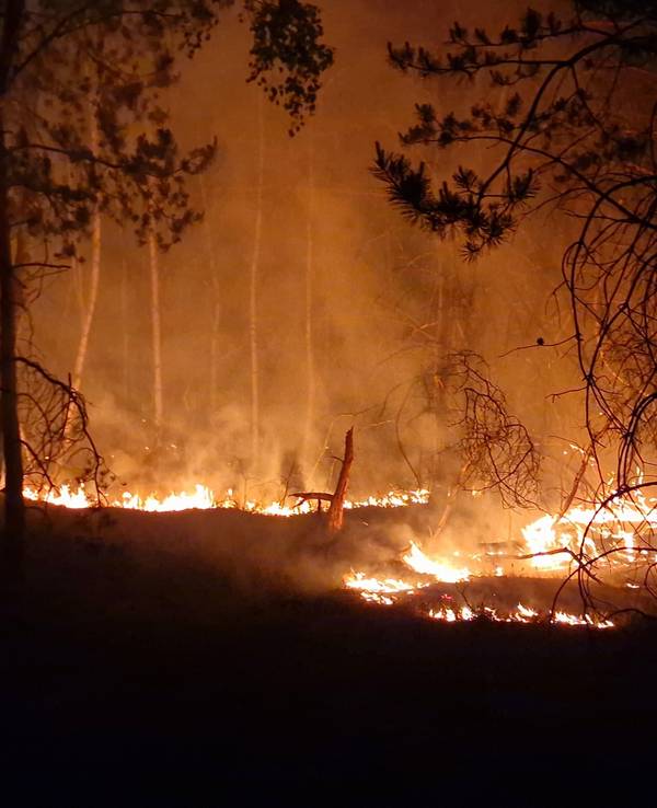 Ein Waldbrand bei Jüterborg.