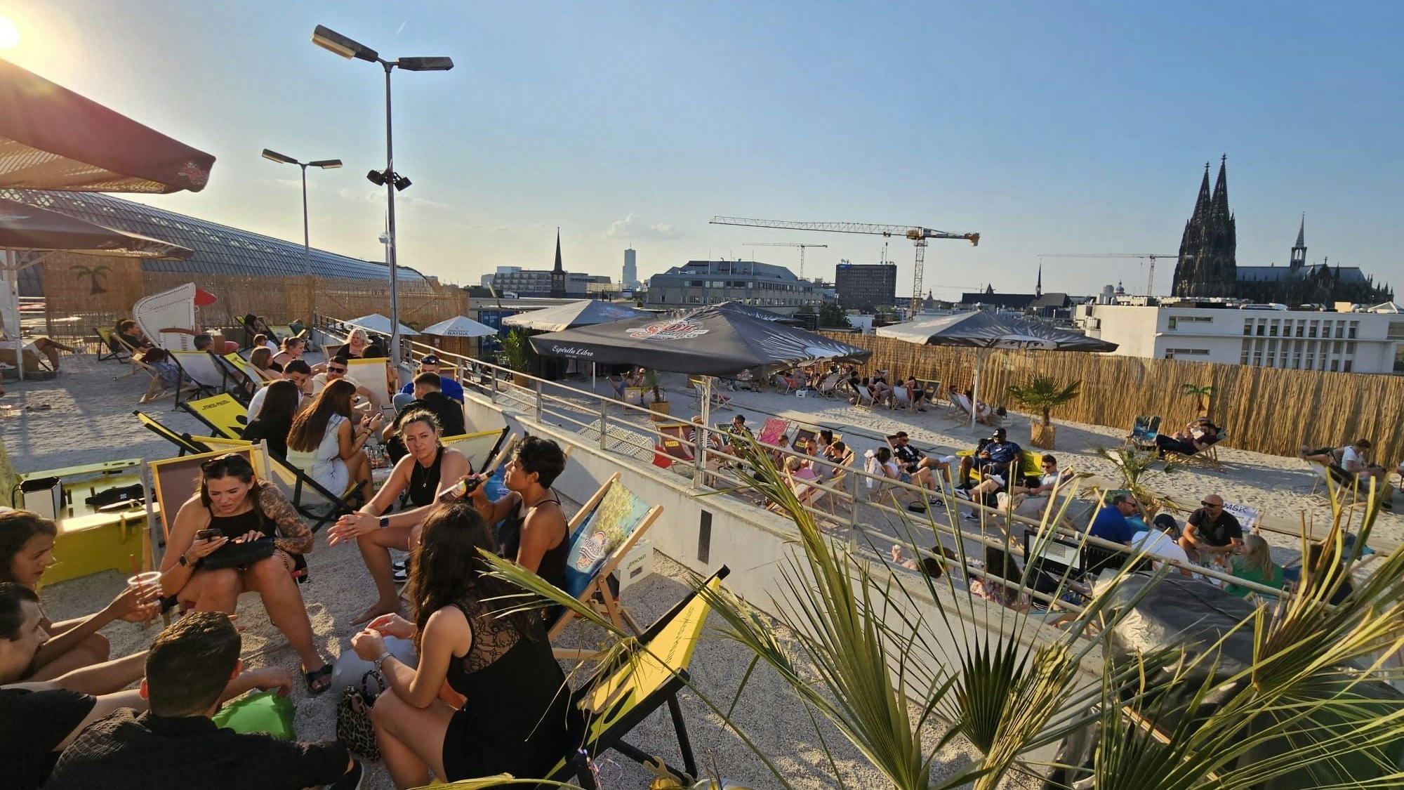 Gäste sitzen in Liegestühlen auf „SonnenscheinEtage“ mitten in Köln.