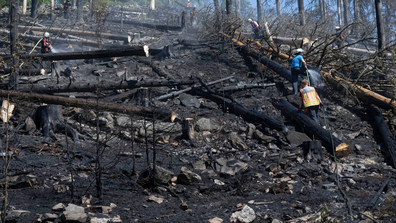 Ein Feuerwehrmann löscht Glutnester und wieder auflodernde Flammen bei einem Waldbrand im Taunus.