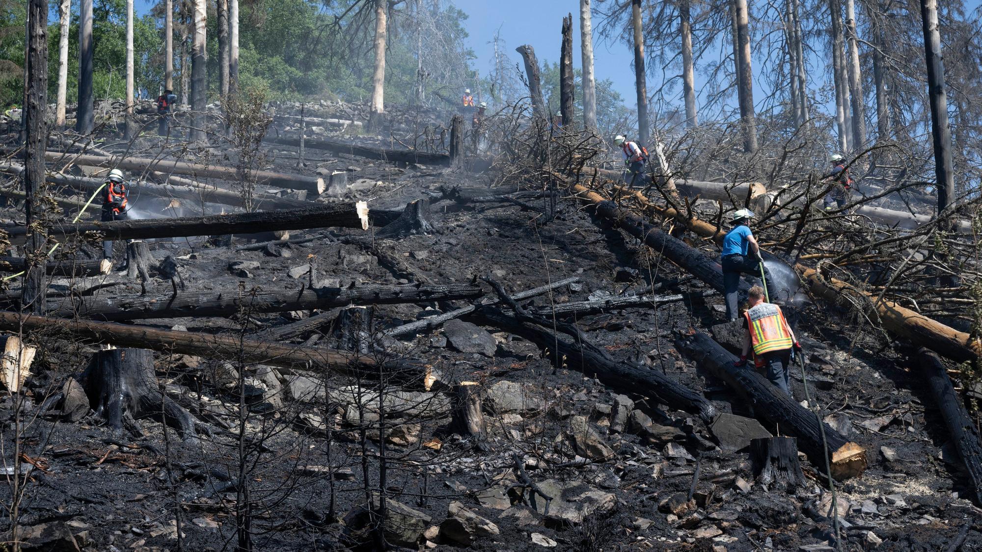 Ein Feuerwehrmann löscht Glutnester und wieder auflodernde Flammen bei einem Waldbrand im Taunus.