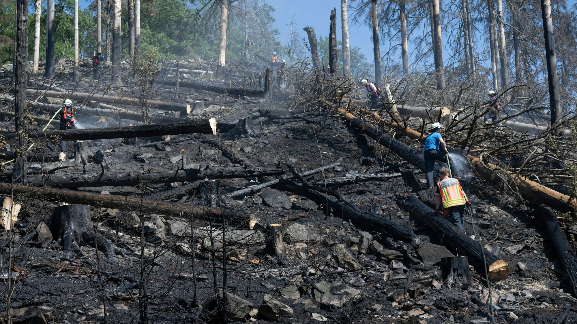 Ein Feuerwehrmann löscht Glutnester und wieder auflodernde Flammen bei einem Waldbrand im Taunus.