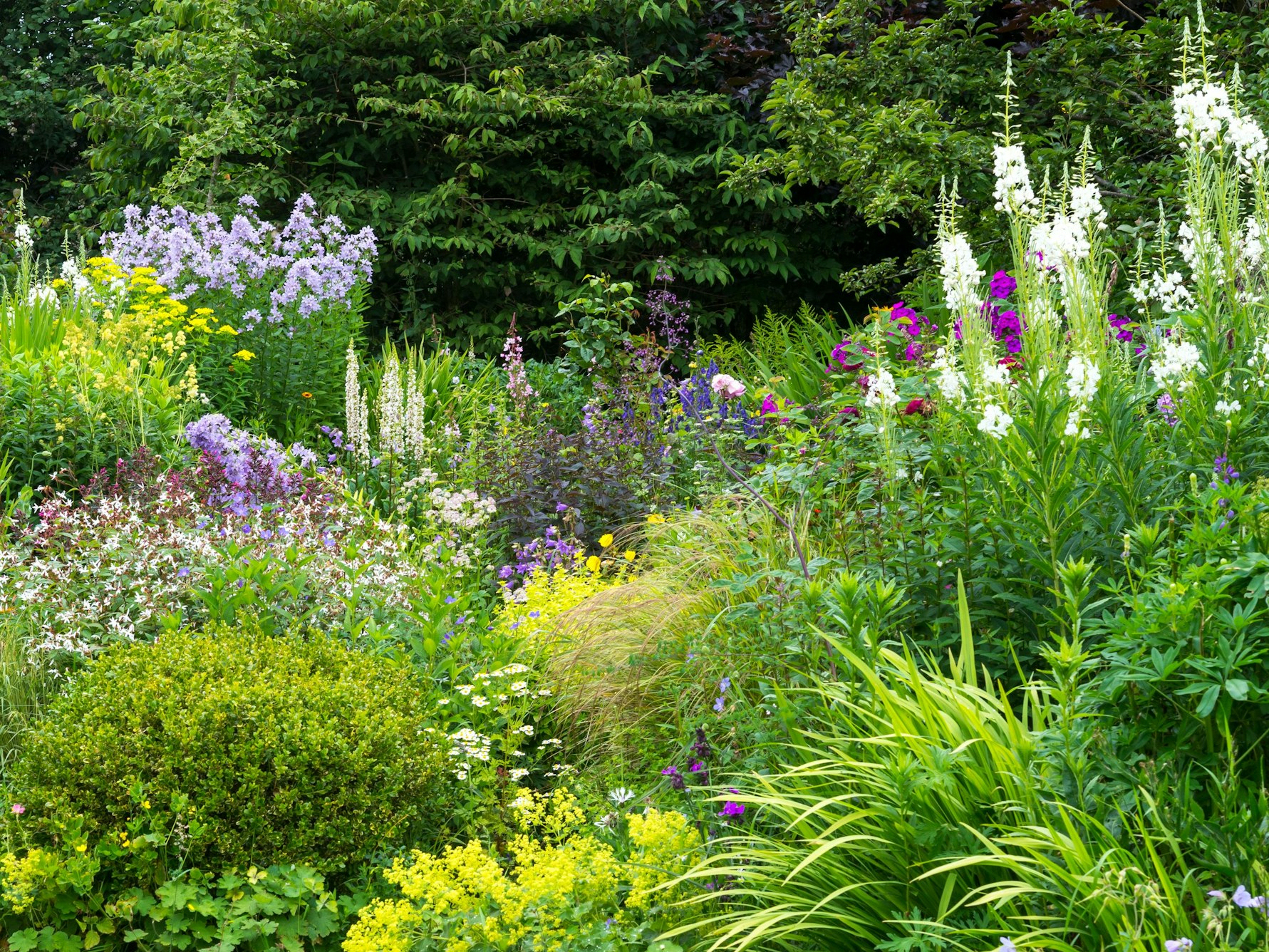 Ein Staudenbeet in einem Garten nach englischem Vorbild.