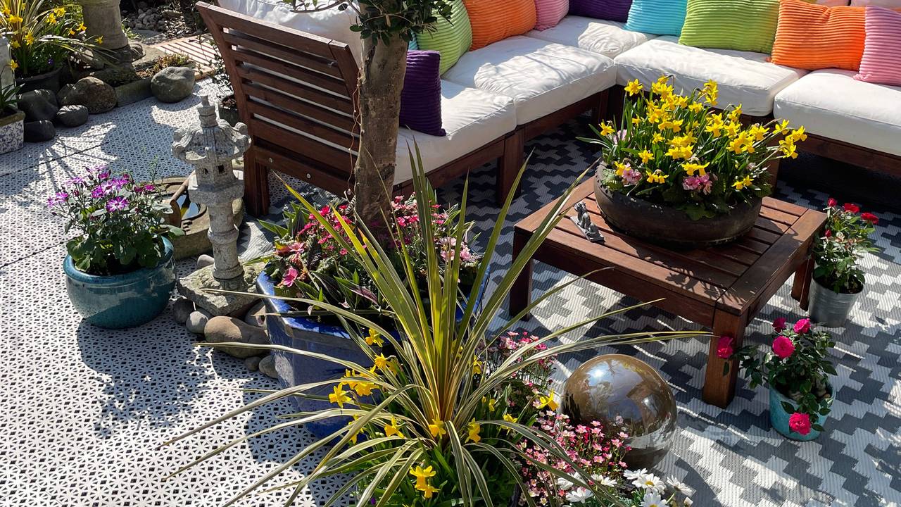 Mediterranes Pflanzen-Arrangement auf einer Terrasse